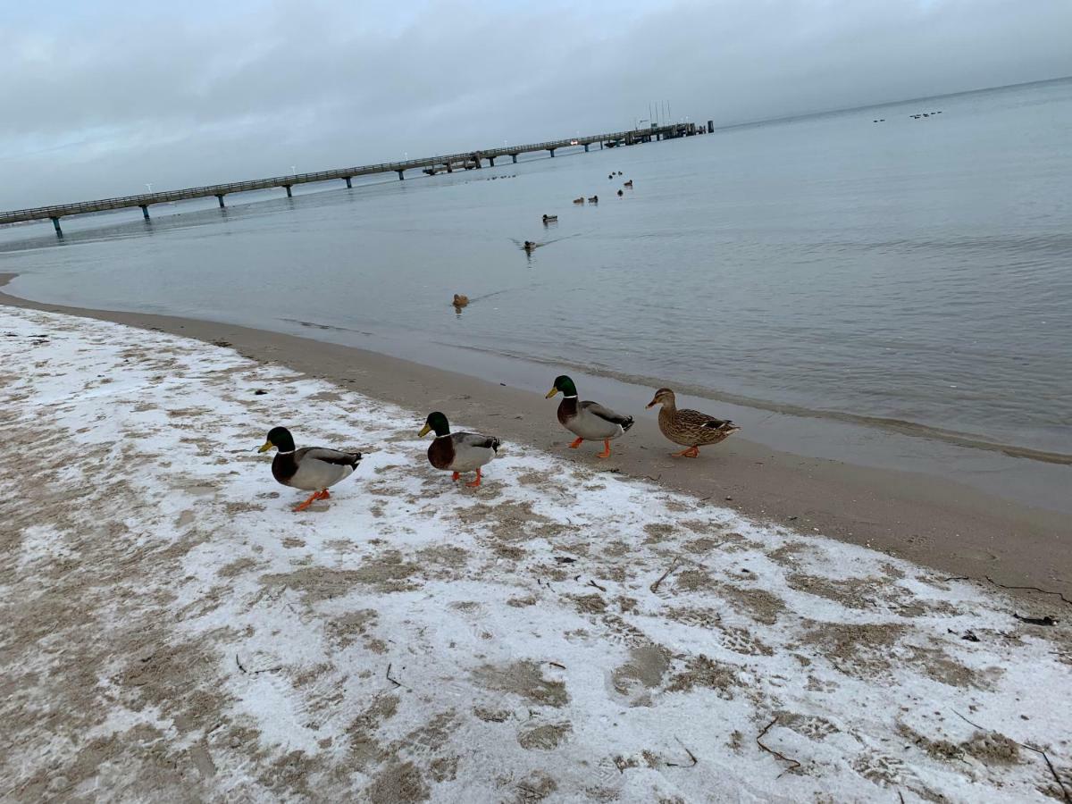 Ferienwohnung In Scharbeutz Buitenkant foto